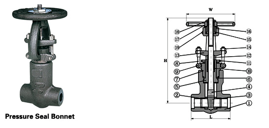 Class 900~2500 Pressure-Seal Gate Valve