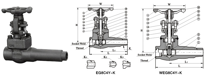 Class 150~2500 Extended Body Gate Valve