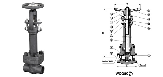 Class 150~1500 Cryogenic Gate Valve