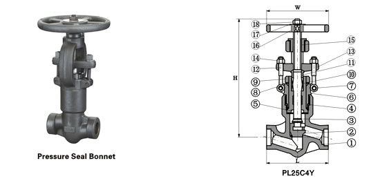 Class 900~2500 Pressure-Seal Globe Valve