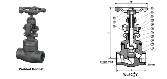 Class 150~1500 Welding Globe Valve