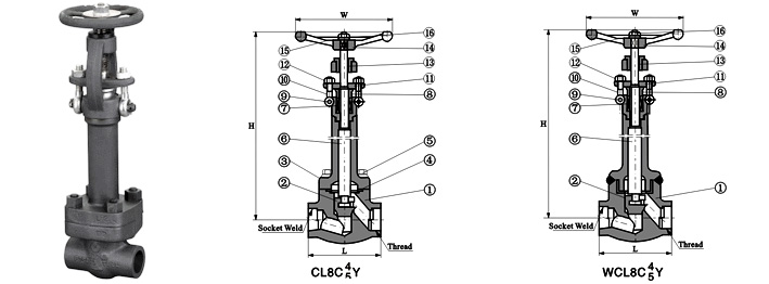 Class 150~1500 Cryogenic Globe Valve