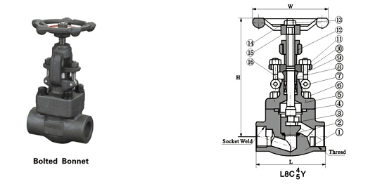 Class 150~1500 Bolt Globe Valve