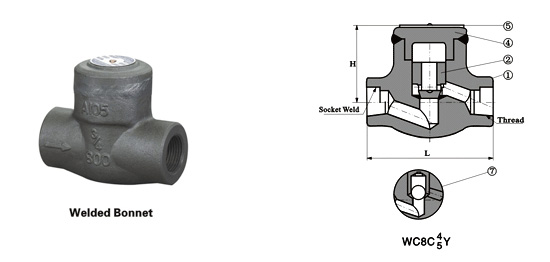 Class 150~1500 Welding Type Piston Check Valve