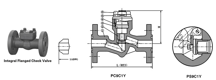 Class 900~2500 Flanged End Pressure-Seal Piston Check Valve