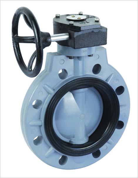 Worm Gear Butterfly Valve (D371X-6S)